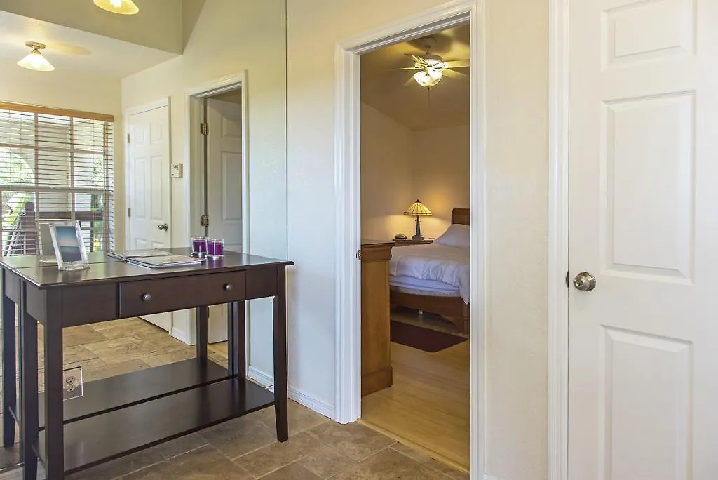 Tatil Evi Treehouse Villa Tampa
