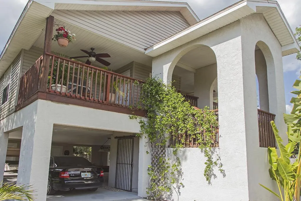 Tatil Evi Treehouse Villa Tampa ABD