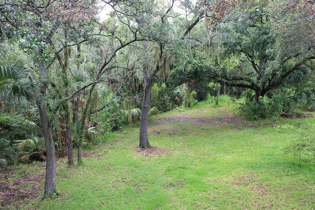 Tatil Evi Treehouse Villa Tampa