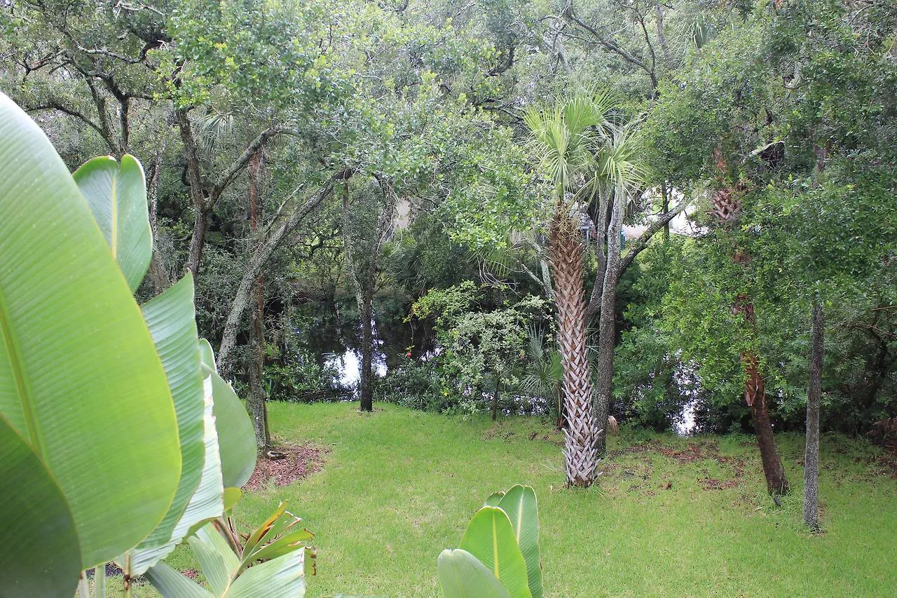 Treehouse Villa Tampa 0*,