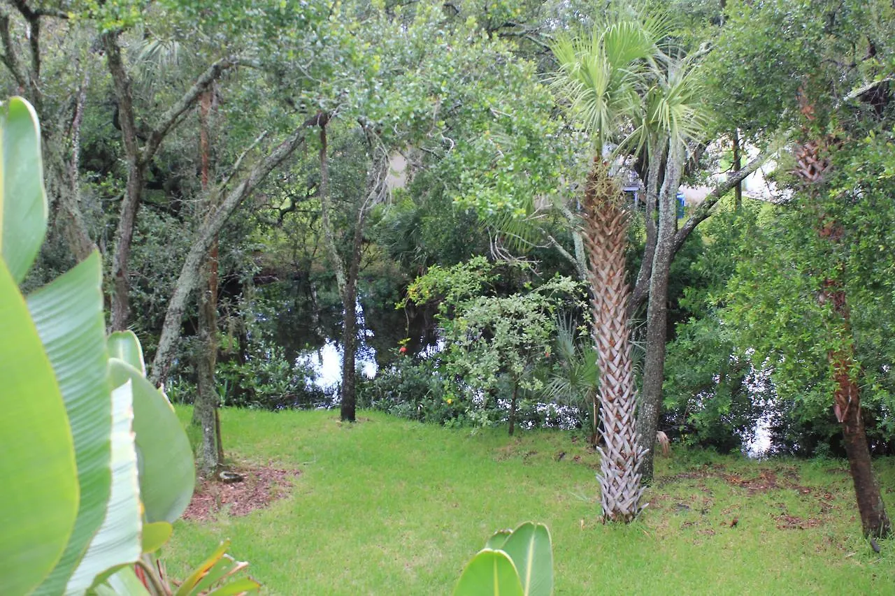Treehouse Villa Tampa