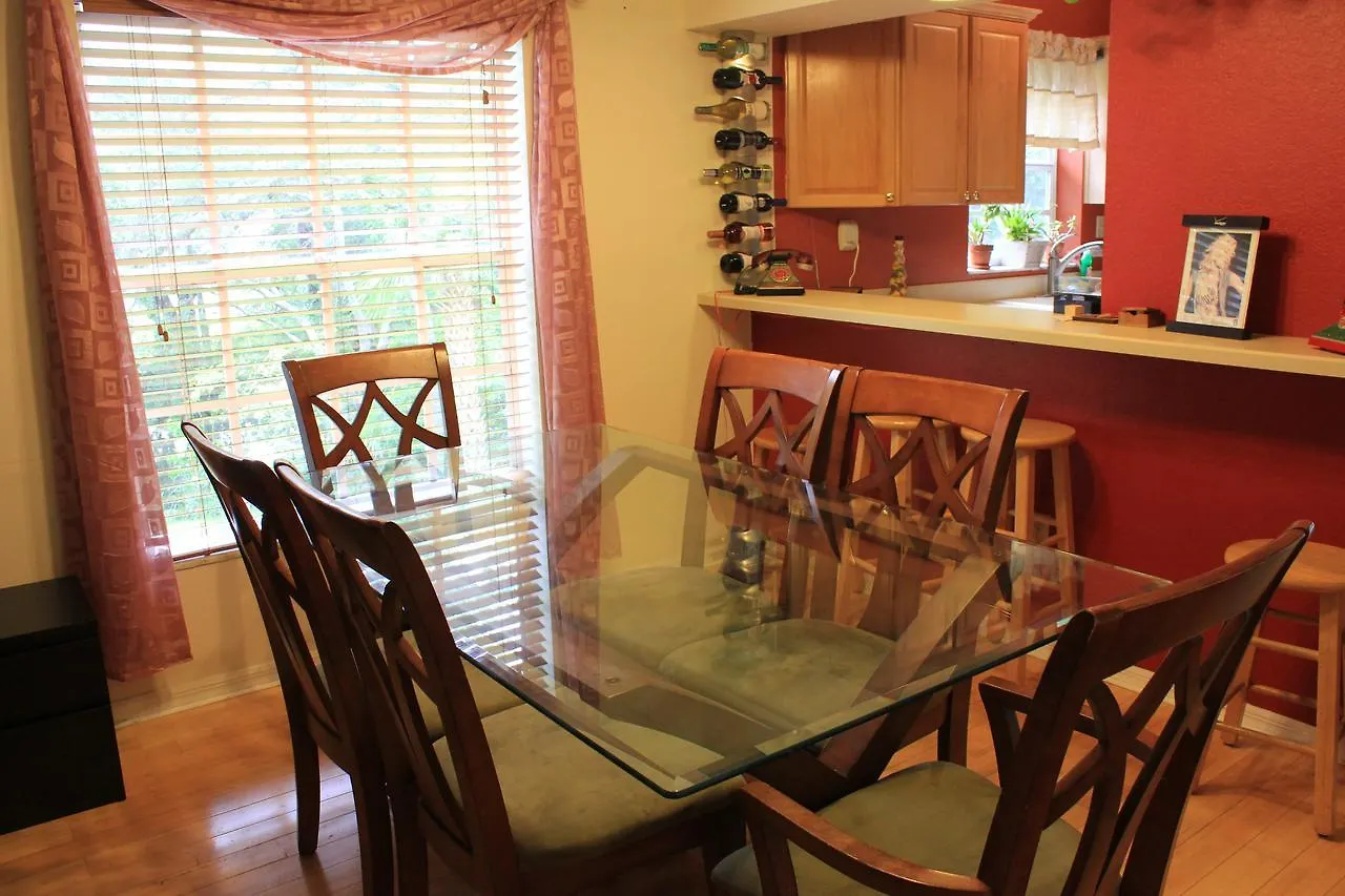 Treehouse Villa Tampa 0*,